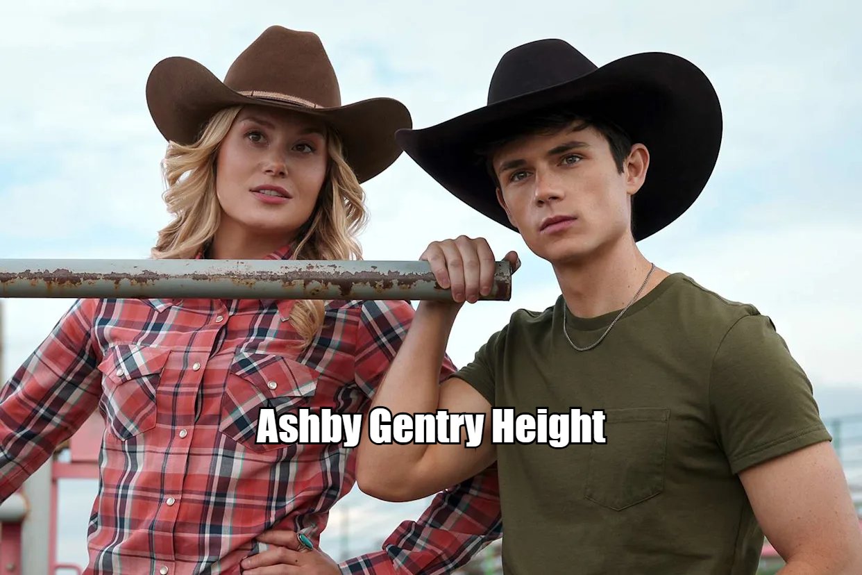 Ashby Gentry Height